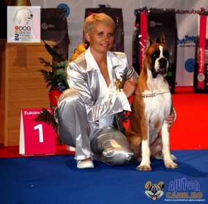 Boxer German Best Puppy of the Day Euro Dog Show 2012 Romania