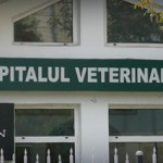 spital veterinar